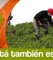 Capítulo 1 de Bogotá Comensal.