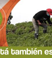 capitulo 1 Siembra Bogota comensal Imagen de campesino trabajando la tierra