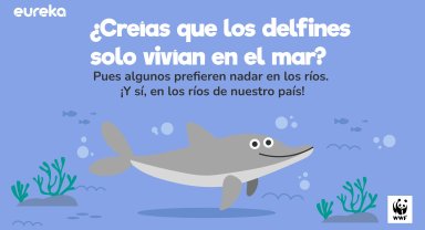 Delfines de río  en Colombia
