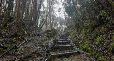 Foto: Alcaldía Mayor de Bogotá. Senderismo en Bogotá