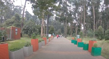 Bosque San Carlos