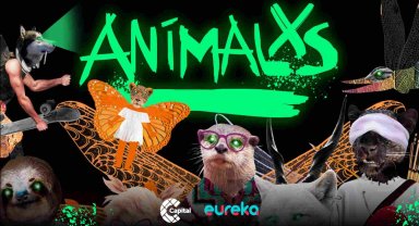 Portada Animalxs, eureka Tu Canal