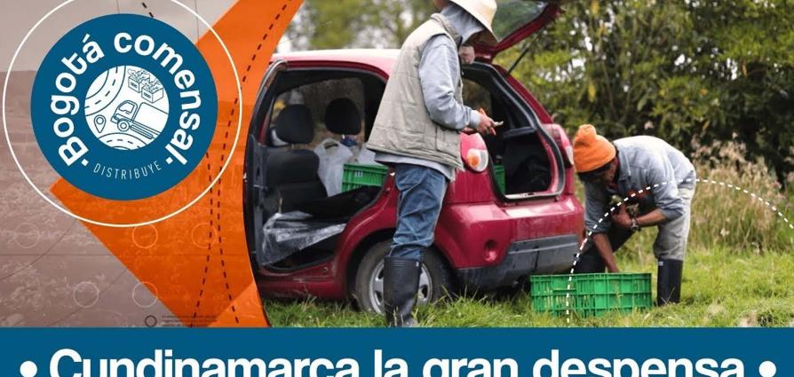 Cundinamarca la gran despensa