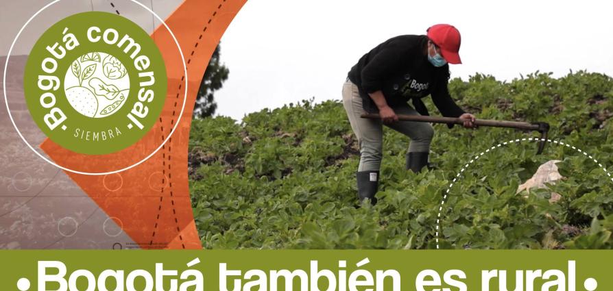 Imagen de campesino trabajando la tierra