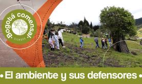 El ambiente y sus defensores Niños protegiendo el campo
