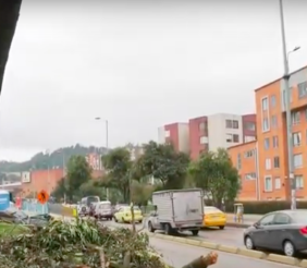 Tala de árboles Suba