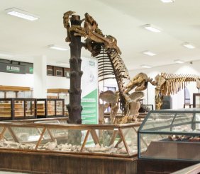 Museo Geológico Colombiano - SGC