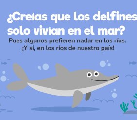 Delfines de río  en Colombia