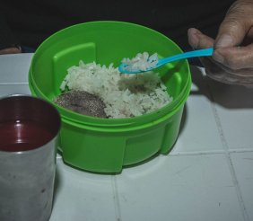 Un tupper verde con comida 
