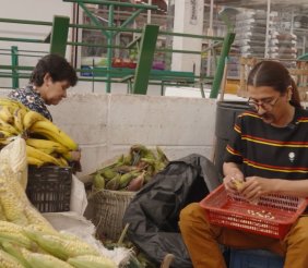 Plazas de mercado: donde el campo y la ciudad se encuentran 