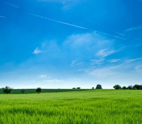 Un campo verde de césped con un cielo azul