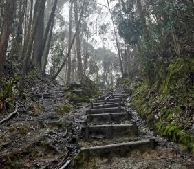 Foto: Alcaldía Mayor de Bogotá. Senderismo en Bogotá