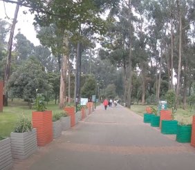 Bosque San Carlos