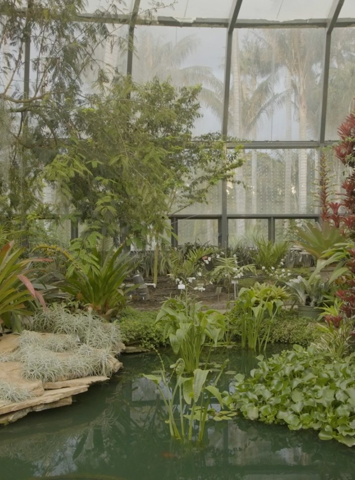 El Tropicario