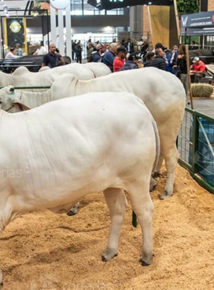 Agroexpo - Corferias