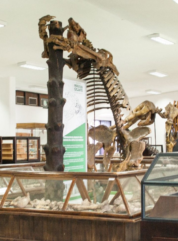 Museo Geológico Colombiano - SGC