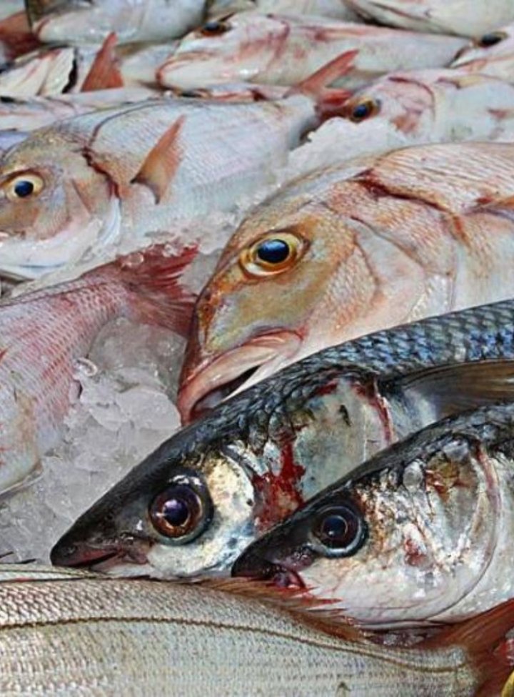 Pescados sobre una mesa