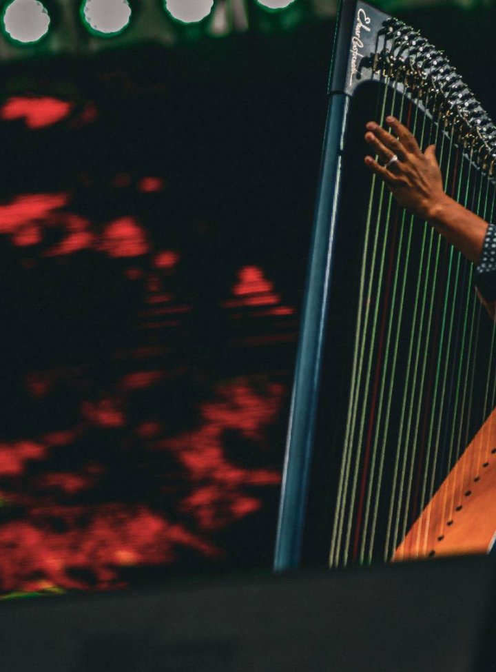 Jazz al Parque Por Canal Capital: Nicolás Ospina 