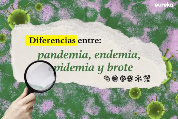 Hantavirus: lo que las familias deben saber 